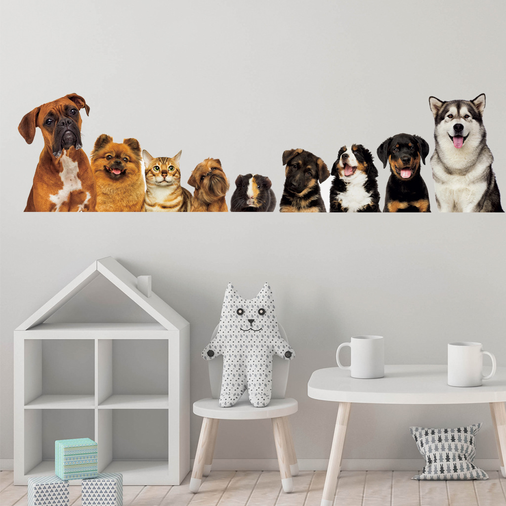 C30 #   Autocollant Mural 9 ch - Home Cinema Wall avis et prix